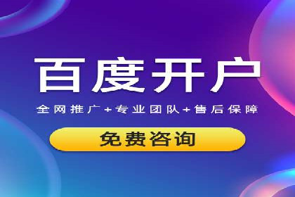 搜索引擎营销（SEM）成功案例详解